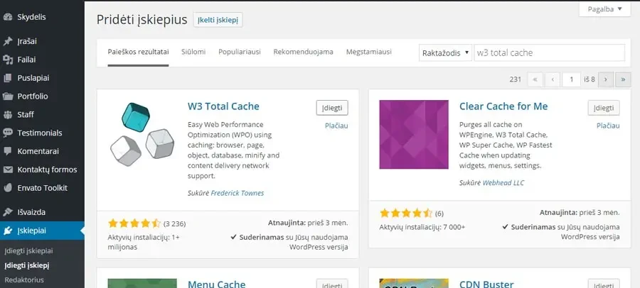 wordpress interneto svetainės greičio optimizavimas