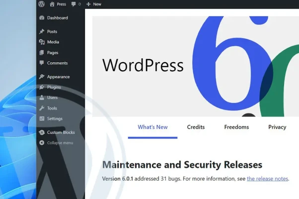 Kaip sužinoti kurią WordPress versiją naudojate savo interneto svetainėje